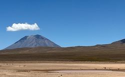 Peru Hochplateau Colca Canyon