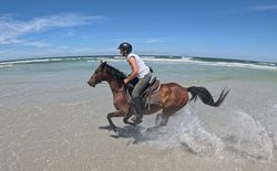 Südafrika - Wanderritt Cape Agulhas